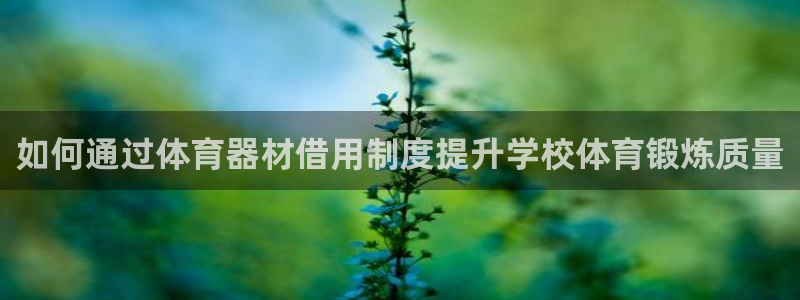 极悦平台注册申请流程详解图片：如何通过体育器材借用制