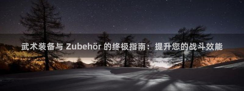 极悦平台注册失败如何解决问题：武术装备与 Zubeh