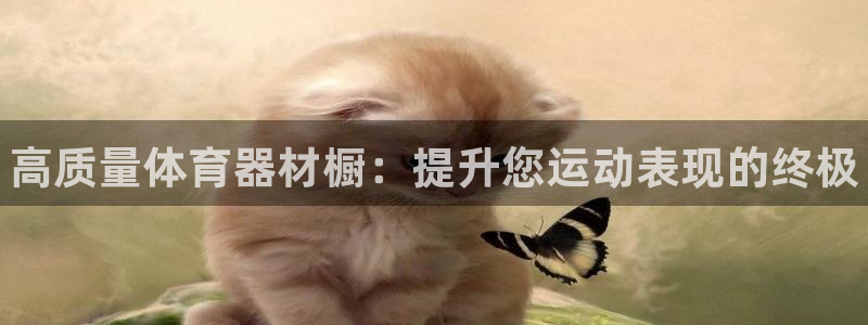极悦官网的登录方法是什么：高质量体育器材橱：提升您运动表现的