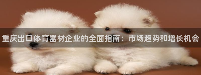 极悦平台注册流程详解视频：重庆出口体育器材企业的全面指南：市