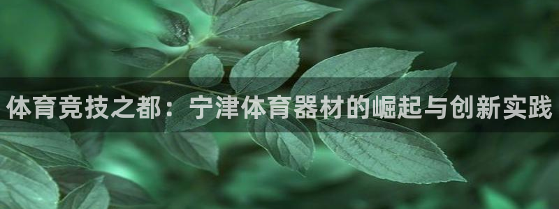极悦平台注册资金多少钱