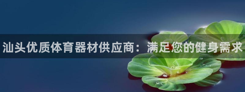 极悦平台登录最新版本更新内容怎么删除：汕头优质体育器