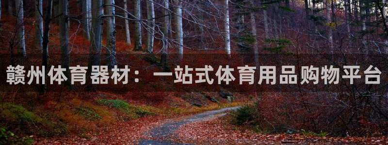 极悦平台登录入口注册：赣州体育器材：一站式体育用品购