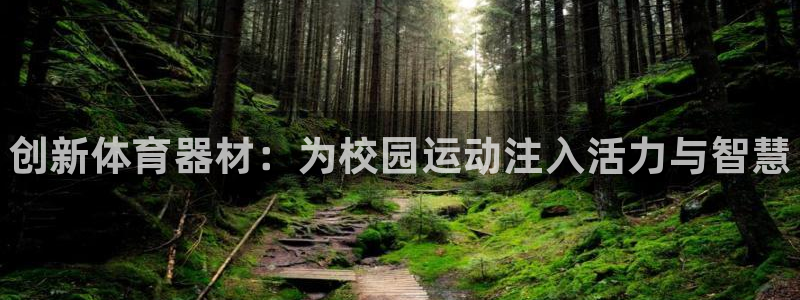 极悦平台平台注册方法与步骤：创新体育器材：为校园运动