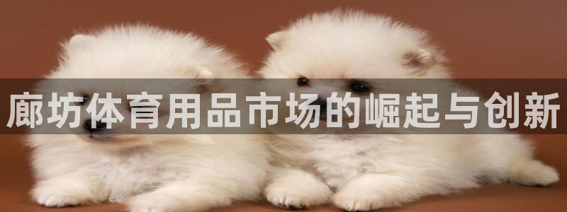 极悦娱乐会被骗吗知乎：廊坊体育用品市场的崛起与创新