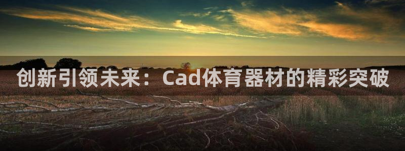 极悦平台注册资金多少钱：创新引领未来：Cad体育器材