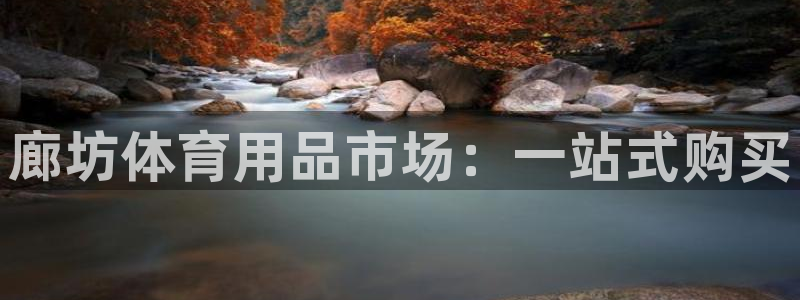 极悦平台客服的联系方式是多少：廊坊体育用品市场：一站式购买