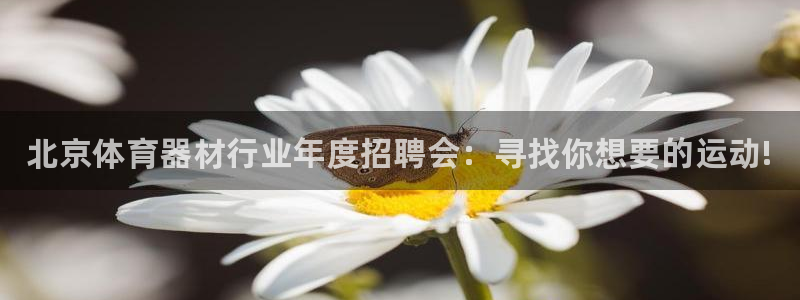 极悦平台注册和登录页面不一样：北京体育器材行业年度招聘会：寻