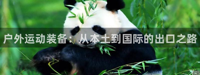 极悦平台是干什么的公司