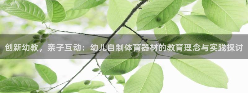 极悦平台是干什么的：创新幼教，亲子互动：幼儿自制体育