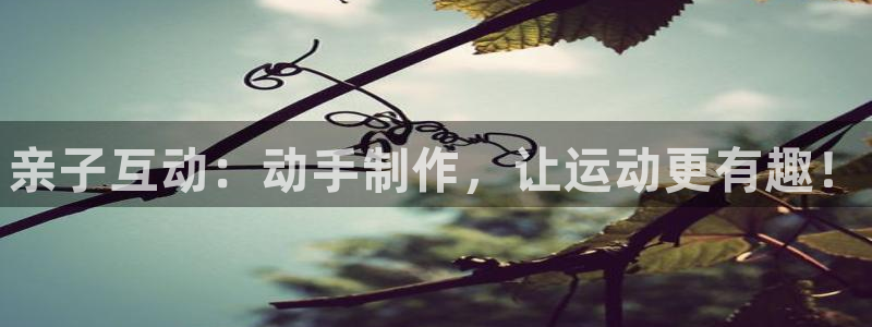 极悦娱乐官网下载安装：亲子互动：动手制作，让运动更有趣！