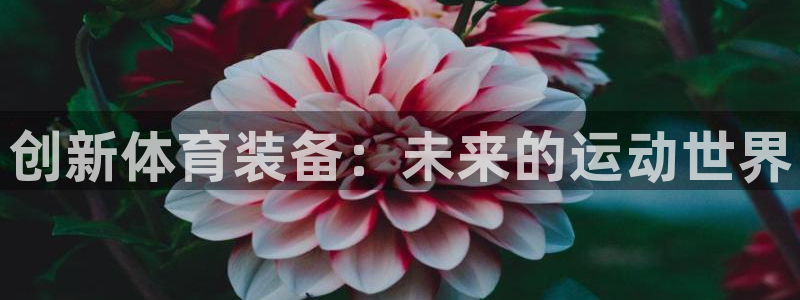 极悦平台决7O777：创新体育装备：未来的运动世界