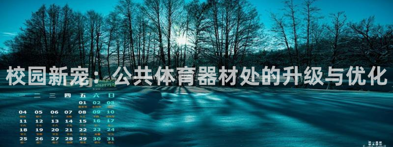 极悦平台创始人背景故事：校园新宠：公共体育器材处的升级与优化