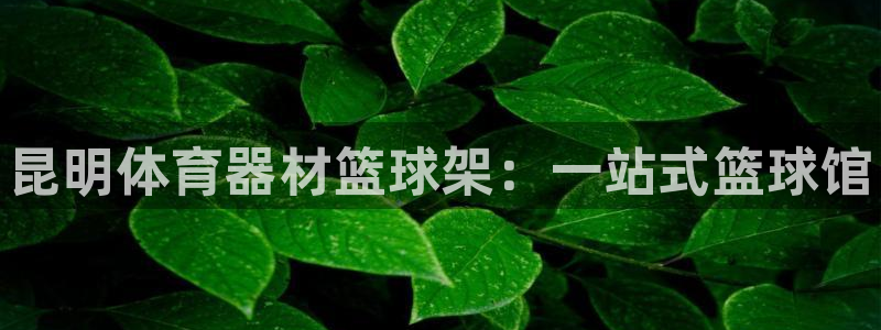 极悦娱乐公司最新招聘信息：昆明体育器材篮球架：一站式篮球馆